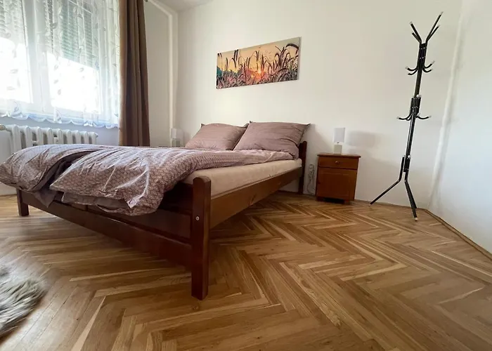 Jnj Velkomoravska Olomouc